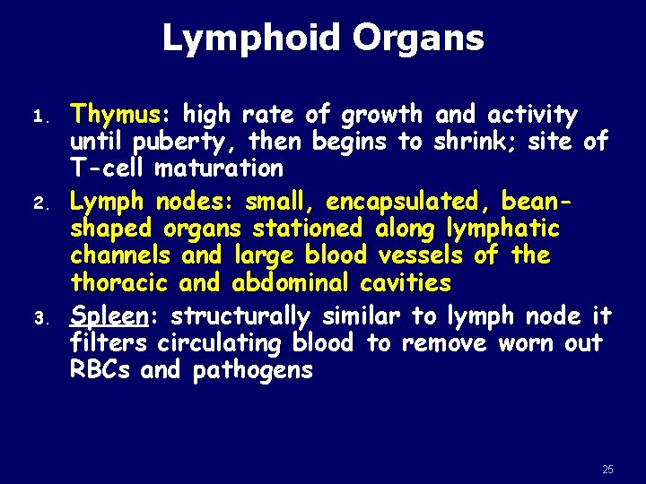 Lymphoid Organs 1. 2. 3. Thymus: high rate of growth and activity until puberty,
