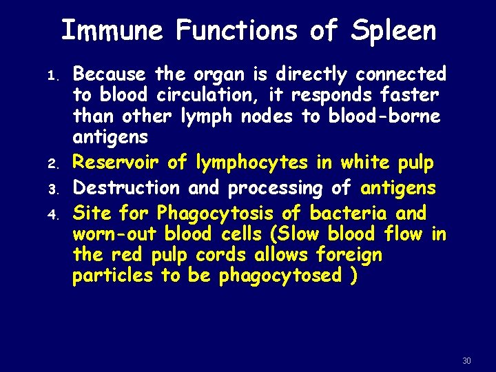 Immune Functions of Spleen 1. 2. 3. 4. Because the organ is directly connected