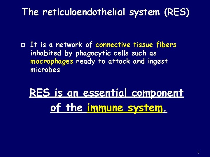 The reticuloendothelial system (RES) It is a network of connective tissue fibers inhabited by