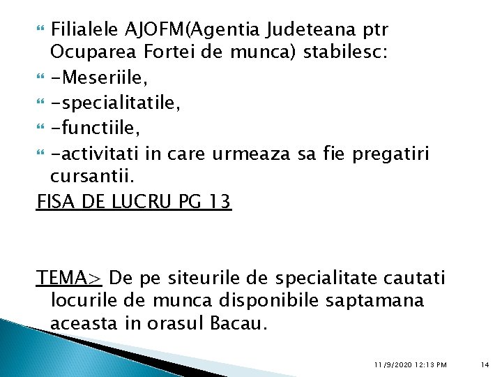 Filialele AJOFM(Agentia Judeteana ptr Ocuparea Fortei de munca) stabilesc: -Meseriile, -specialitatile, -functiile, -activitati in