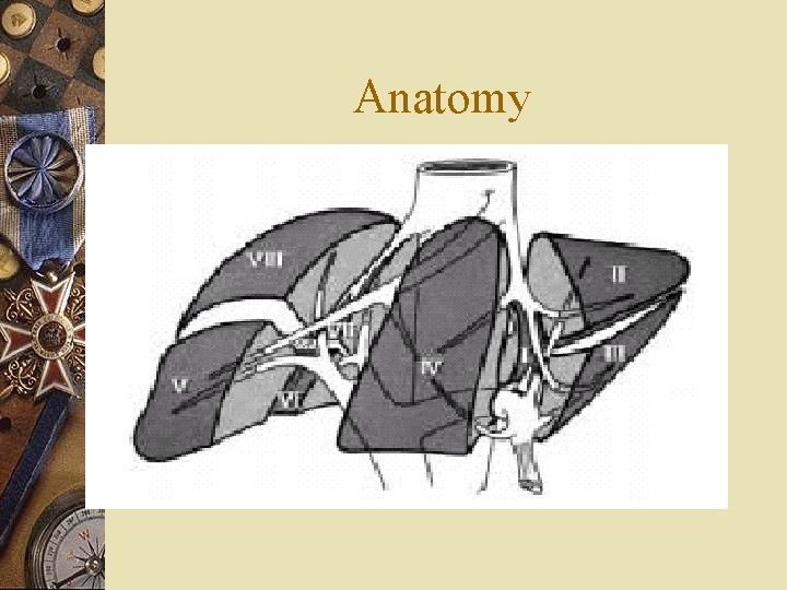 Anatomy 