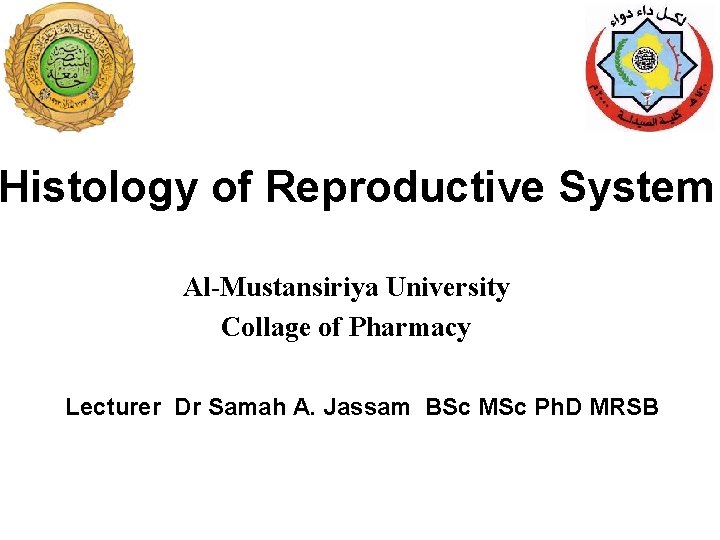 Histology of Reproductive System Al-Mustansiriya University Collage of Pharmacy Lecturer Dr Samah A. Jassam