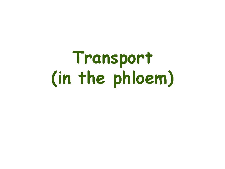Transport (in the phloem) 