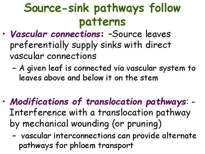 Source-sink pathways follow patterns • Vascular connections: –Source leaves preferentially supply sinks with direct