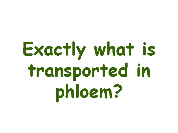 Exactly what is transported in phloem? 