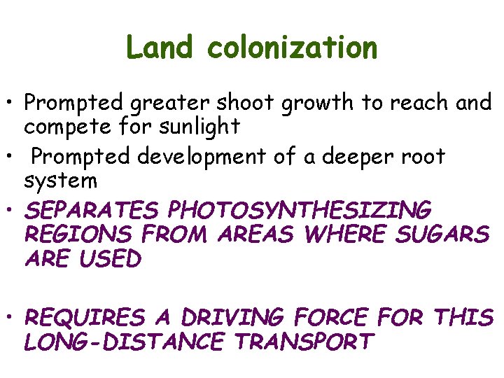Land colonization • Prompted greater shoot growth to reach and compete for sunlight •