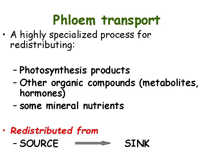 Phloem transport • A highly specialized process for redistributing: – Photosynthesis products – Other