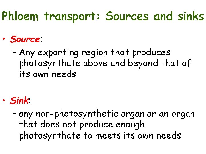 Phloem transport: Sources and sinks • Source: – Any exporting region that produces photosynthate