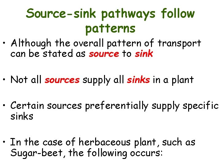 Source-sink pathways follow patterns • Although the overall pattern of transport can be stated