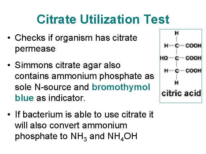Citrate Utilization Test • Checks if organism has citrate permease • Simmons citrate agar Citrate Utilization Test • Checks if organism has citrate permease • Simmons citrate agar