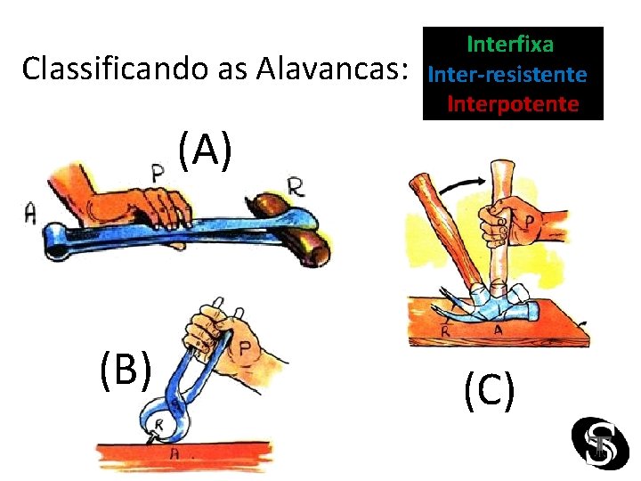 Classificando as Alavancas: (A) (B) Interfixa Inter-resistente Interpotente (C) 