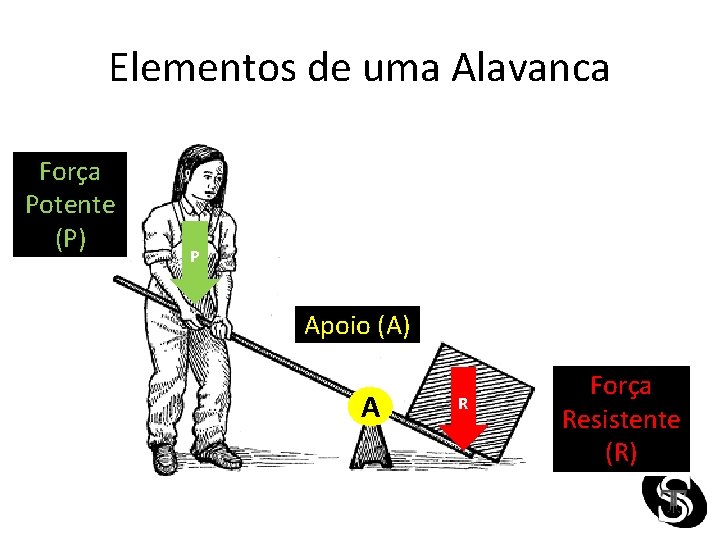 Elementos de uma Alavanca Força Potente (P) P Apoio (A) A R Força Resistente