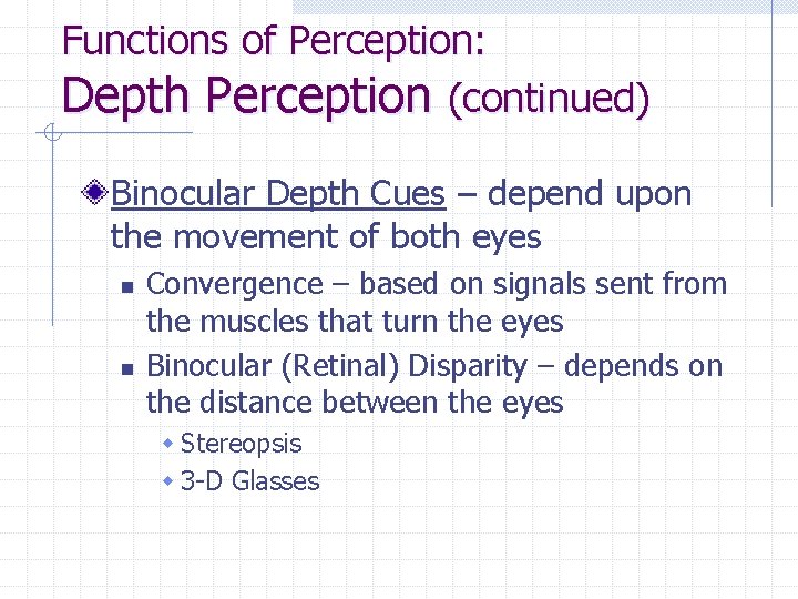 Functions of Perception: Depth Perception (continued) Binocular Depth Cues – depend upon the movement