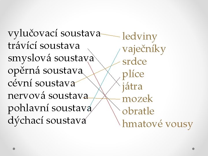 vylučovací soustava trávící soustava smyslová soustava opěrná soustava cévní soustava nervová soustava pohlavní soustava