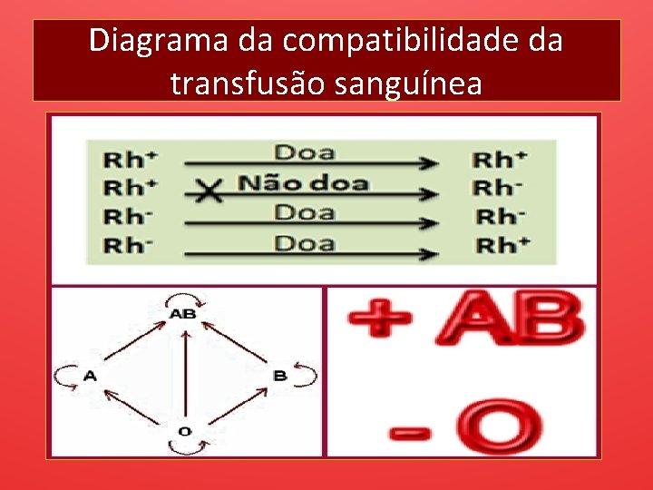 Diagrama da compatibilidade da transfusão sanguínea 