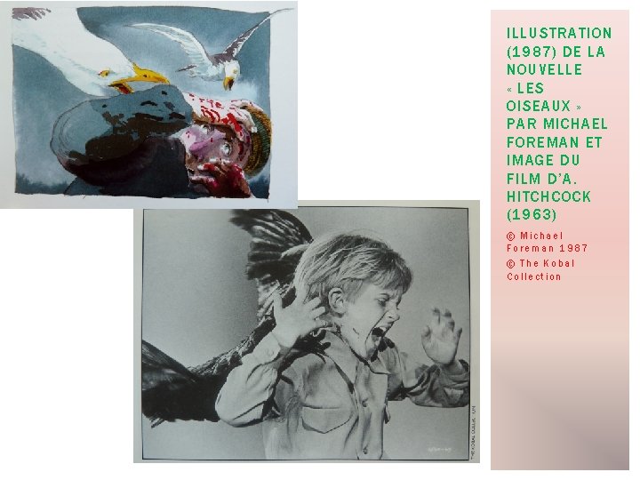 ILLUSTRATION (1987) DE LA NOUVELLE « LES OISEAUX » PAR MICHAEL FOREMAN ET IMAGE