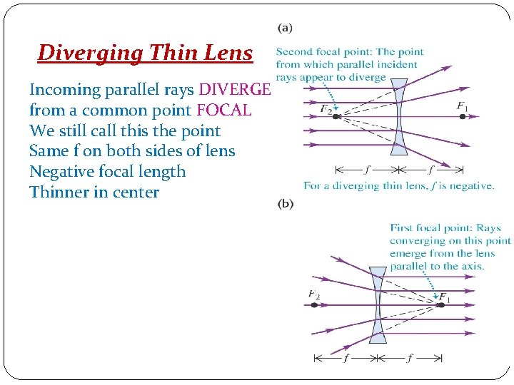 Diverging Thin Lens Incoming parallel rays DIVERGE from a common point FOCAL We still