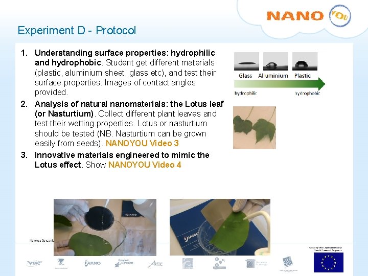 Experiment D - Protocol 1. Understanding surface properties: hydrophilic and hydrophobic. Student get different Experiment D - Protocol 1. Understanding surface properties: hydrophilic and hydrophobic. Student get different