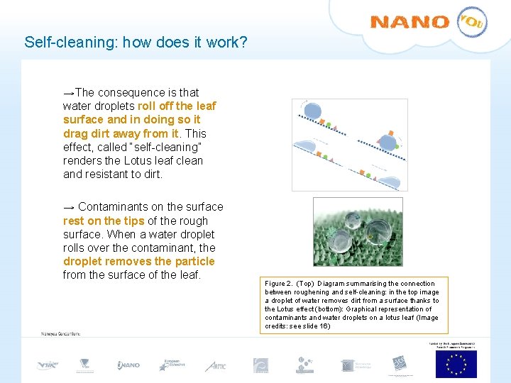Self-cleaning: how does it work? →The consequence is that water droplets roll off the Self-cleaning: how does it work? →The consequence is that water droplets roll off the