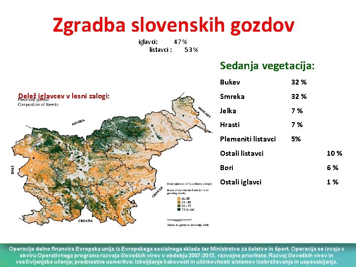 Zgradba slovenskih gozdov iglavci: 47 % listavci : 53 % Sedanja vegetacija: Delež iglavcev