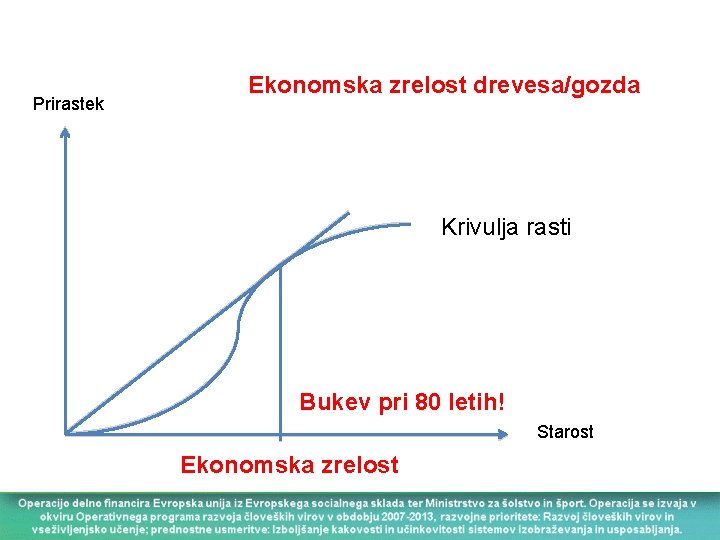 Prirastek Ekonomska zrelost drevesa/gozda Krivulja rasti Bukev pri 80 letih! Starost Ekonomska zrelost 