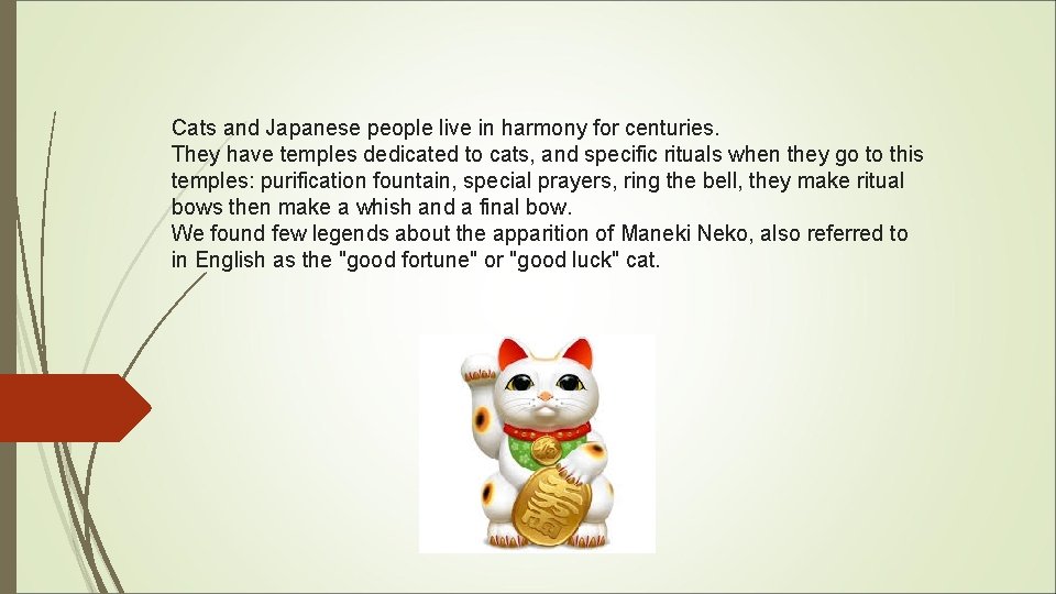 Cats and Japanese people live in harmony for centuries. They have temples dedicated to