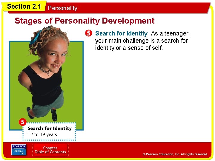 Section 2. 1 Personality Stages of Personality Development Search for Identity As a teenager,