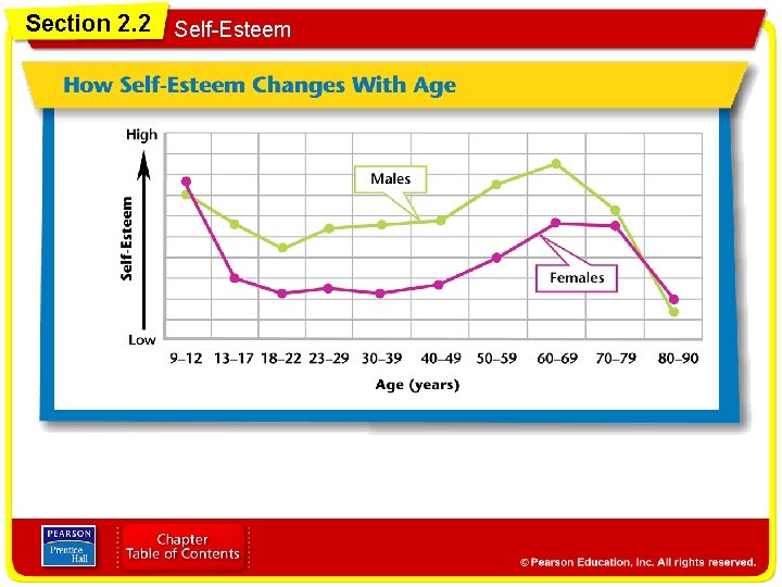 Section 2. 2 Self-Esteem 