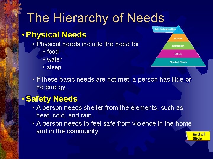 The Hierarchy of Needs • Physical needs include the need for • food •