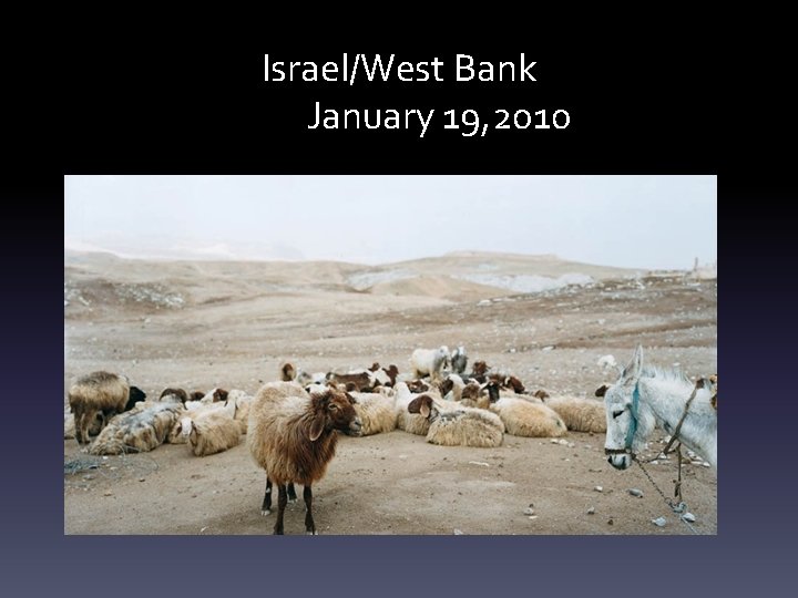Israel/West Bank January 19, 2010 