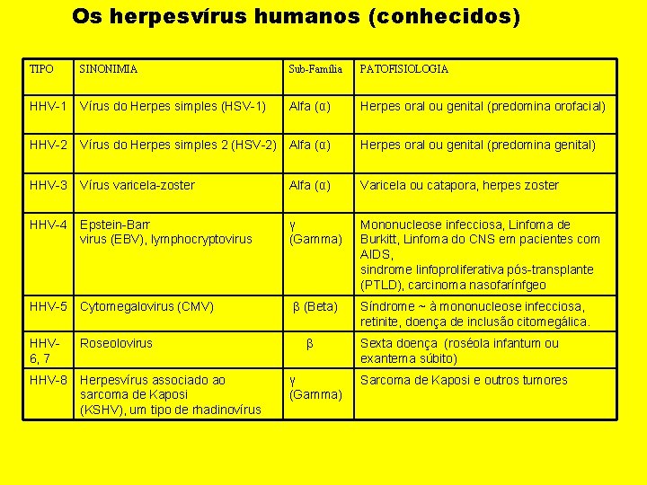 Os herpesvírus humanos (conhecidos) TIPO SINONIMIA Sub-Família PATOFISIOLOGIA HHV-1 Vírus do Herpes simples (HSV-1)