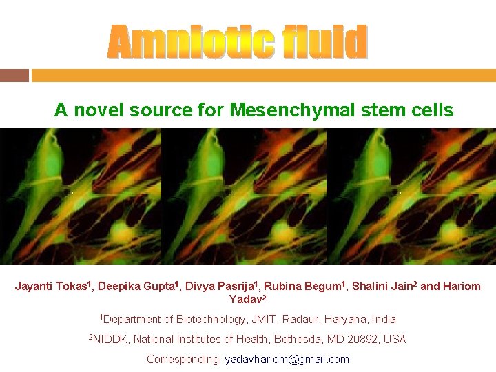 A novel source for Mesenchymal stem cells Jayanti Tokas 1, Deepika Gupta 1, Divya