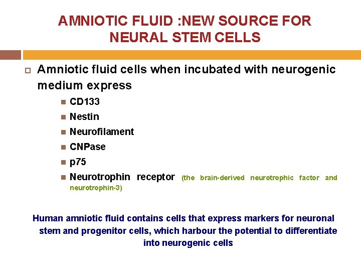 AMNIOTIC FLUID : NEW SOURCE FOR NEURAL STEM CELLS Amniotic fluid cells when incubated