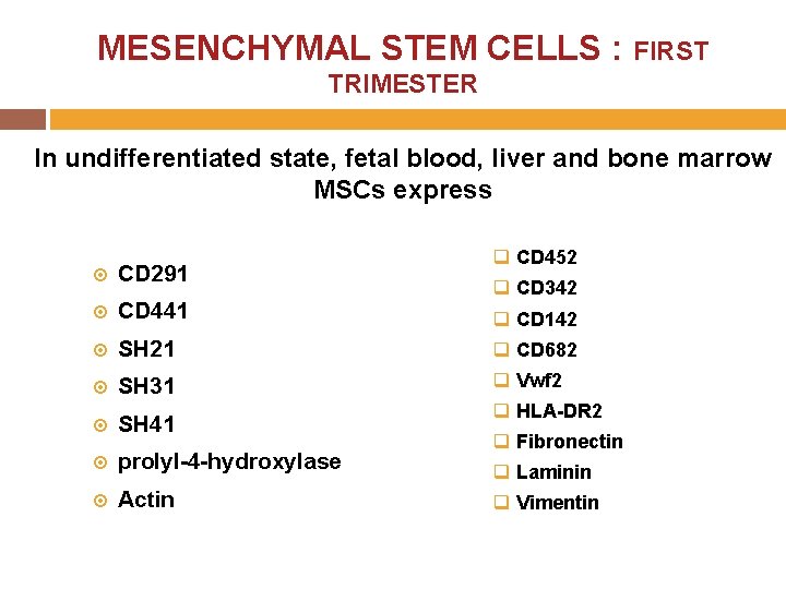 MESENCHYMAL STEM CELLS : FIRST TRIMESTER In undifferentiated state, fetal blood, liver and bone