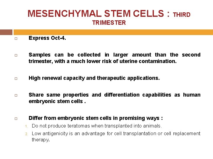 MESENCHYMAL STEM CELLS : THIRD TRIMESTER Express Oct-4. Samples can be collected in larger