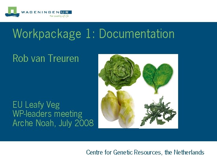Workpackage 1: Documentation Rob van Treuren EU Leafy Veg WP-leaders meeting Arche Noah, July