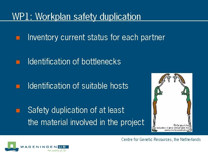 WP 1: Workplan safety duplication n Inventory current status for each partner n Identification