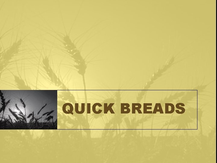 QUICK BREADS 