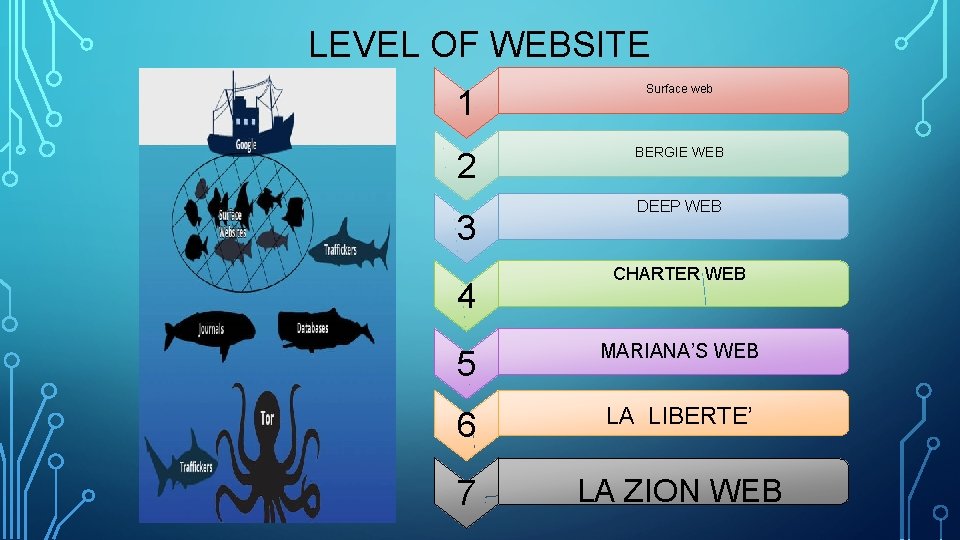 LEVEL OF WEBSITE 1 Surface web 2 BERGIE WEB 3 4 DEEP WEB CHARTER