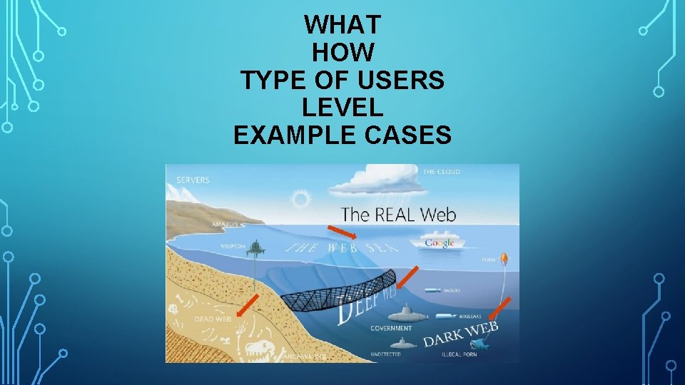 WHAT HOW TYPE OF USERS LEVEL EXAMPLE CASES 