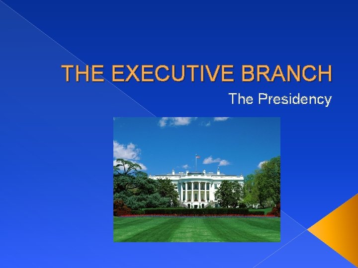 THE EXECUTIVE BRANCH The Presidency 