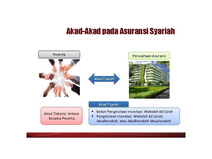 Akad-Akad pada Asuransi Syariah Peserta Perusahaan Asuransi Akad Tijarah Akad Tabarru’ Antara Sesama Peserta