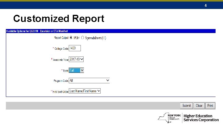 4 Customized Report 