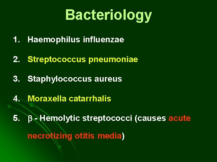 Bacteriology 1. Haemophilus influenzae 2. Streptococcus pneumoniae 3. Staphylococcus aureus 4. Moraxella catarrhalis 5. Bacteriology 1. Haemophilus influenzae 2. Streptococcus pneumoniae 3. Staphylococcus aureus 4. Moraxella catarrhalis 5.