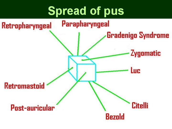 Spread of pus Spread of pus