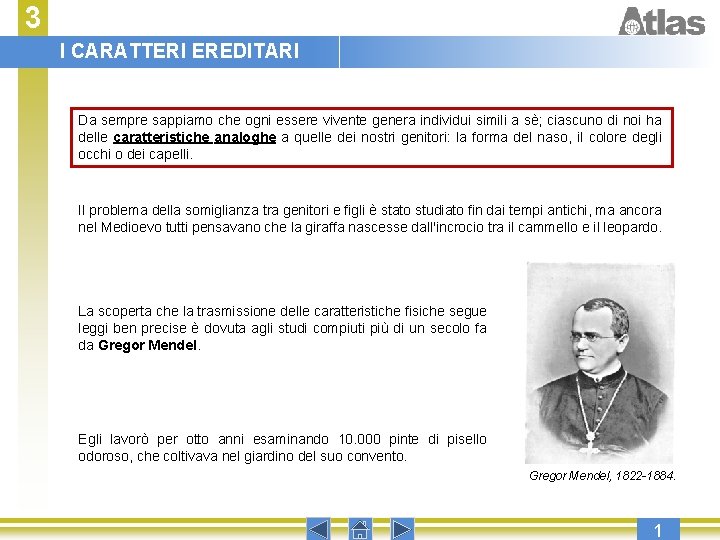 3 I CARATTERI EREDITARI Da sempre sappiamo che ogni essere vivente individui simili a