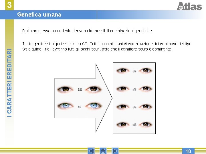 3 Genetica umana Dalla premessa precedente derivano tre possibili combinazioni genetiche: I CARATTERI EREDITARI