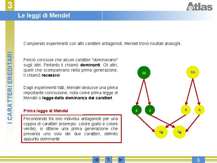 3 Le leggi di Mendel I CARATTERI EREDITARI Compiendo esperimenti con altri caratteri antagonisti,