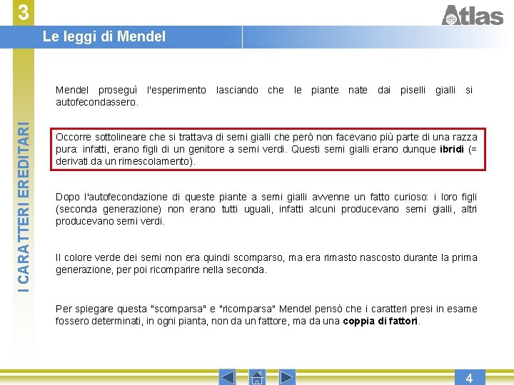 3 Le leggi di Mendel I CARATTERI EREDITARI Mendel proseguì l'esperimento lasciando che le