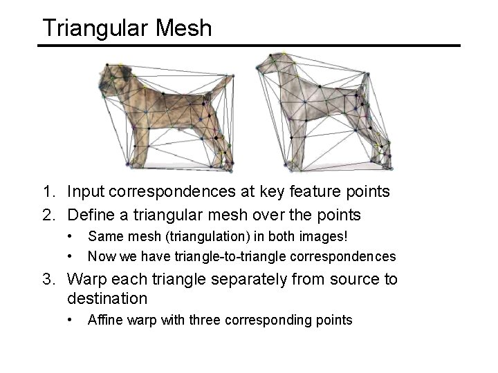 Triangular Mesh 1. Input correspondences at key feature points 2. Define a triangular mesh